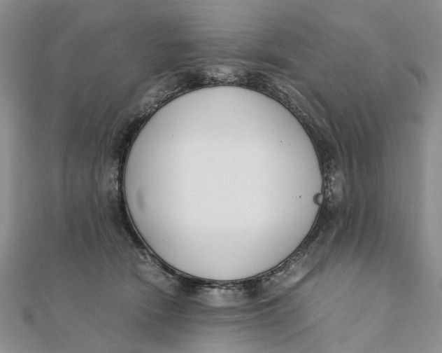 X0000111880466200908131637