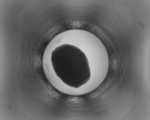 X0000111880467200908131637