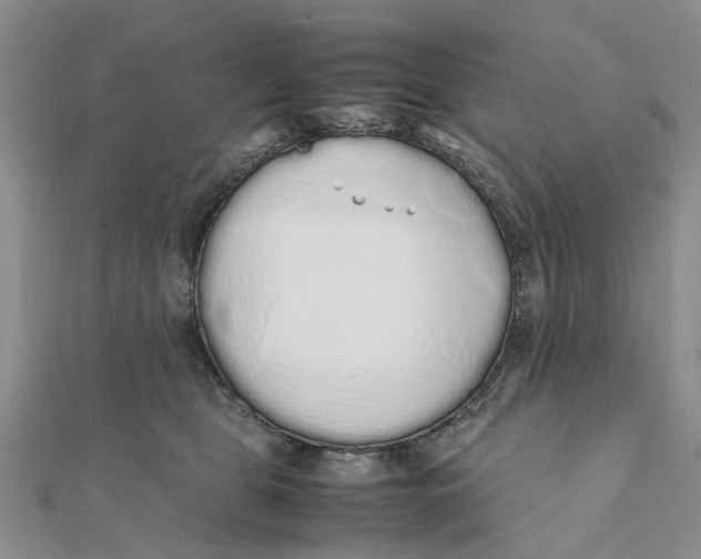 X0000111880469200908131637