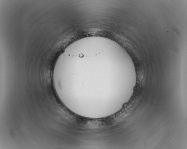 X0000111880470200908131637
