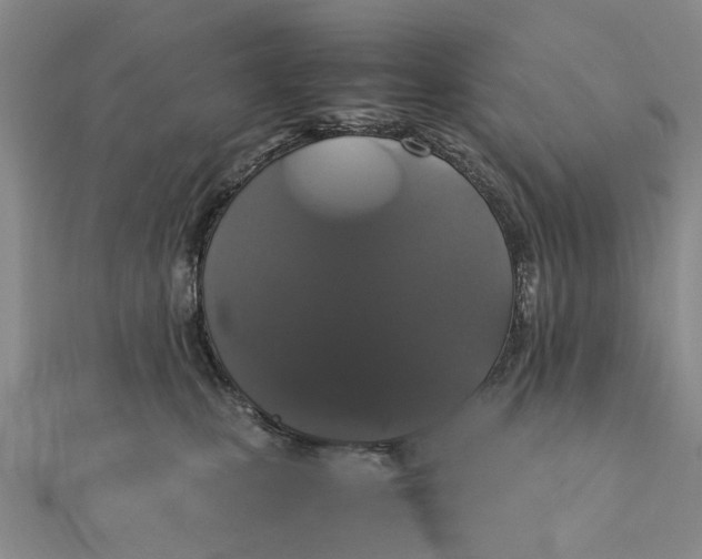 X0000111880471200908131637