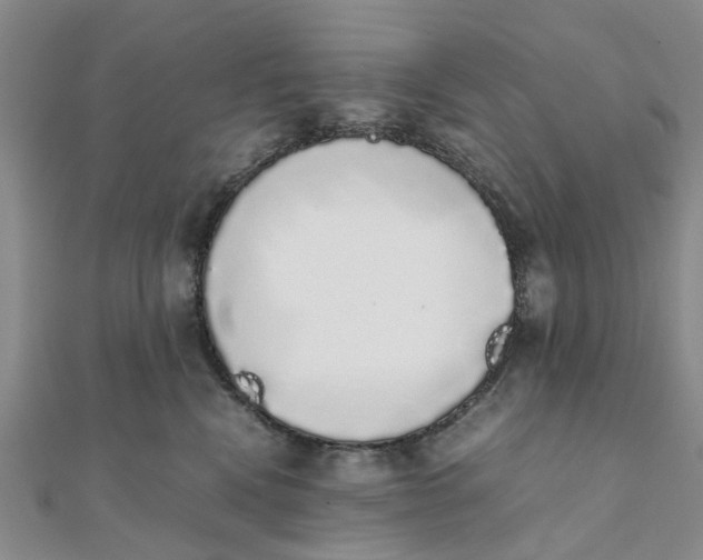 X0000111880472200908131637