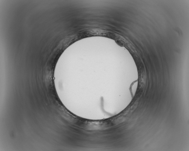 X0000111880473200908131637