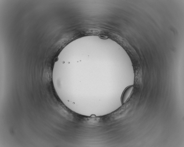 X0000111880474200908131637