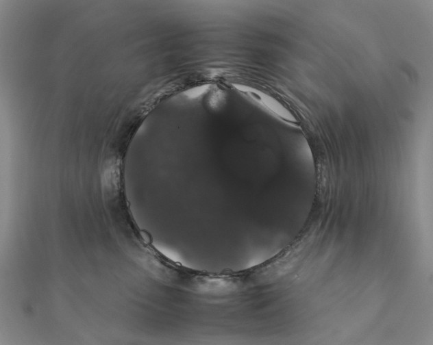 X0000111880475200908131637