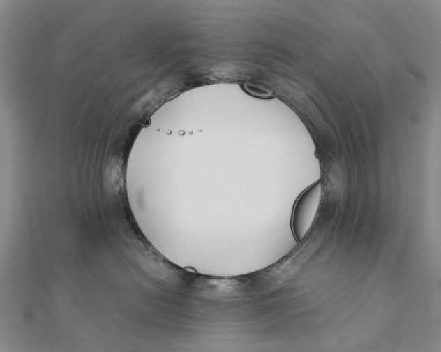 X0000111880478200908131637