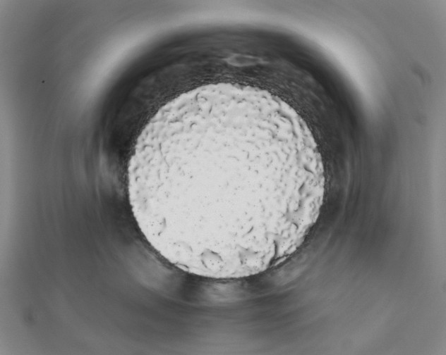X0000111880479200908131637
