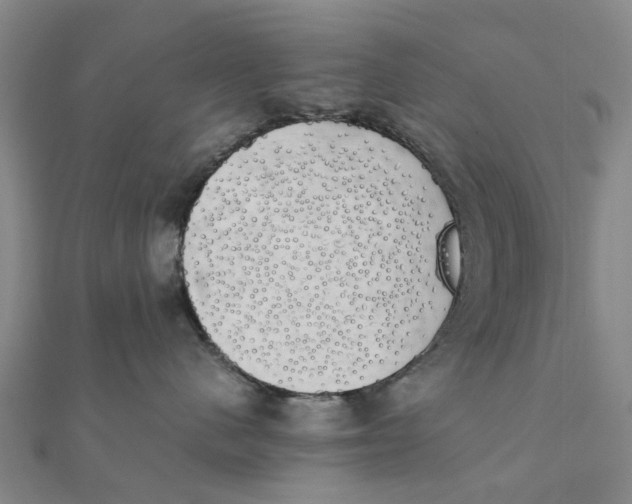 X0000111880480200908131637