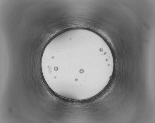 X0000111880481200908131637