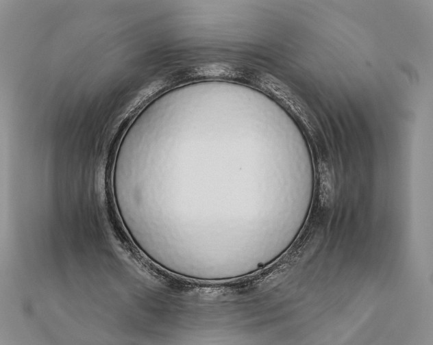 X0000111880482200908131636