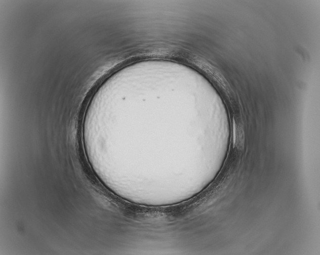 X0000111880483200908131636