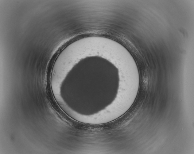 X0000111880484200908131636