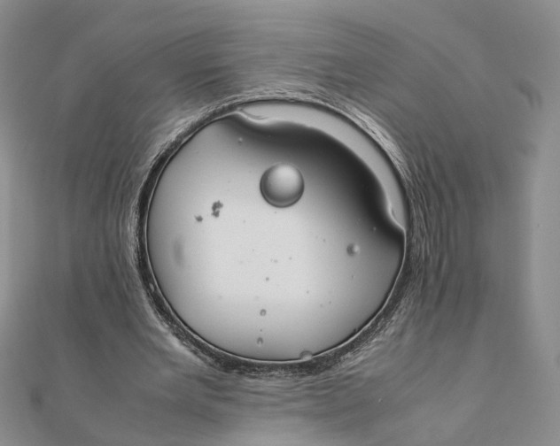 X0000111880485200908131636