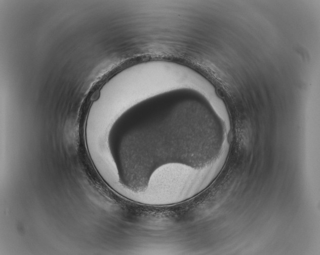 X0000111880488200908131636