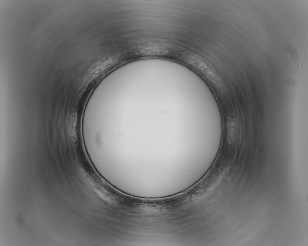 X0000111880490200908131636