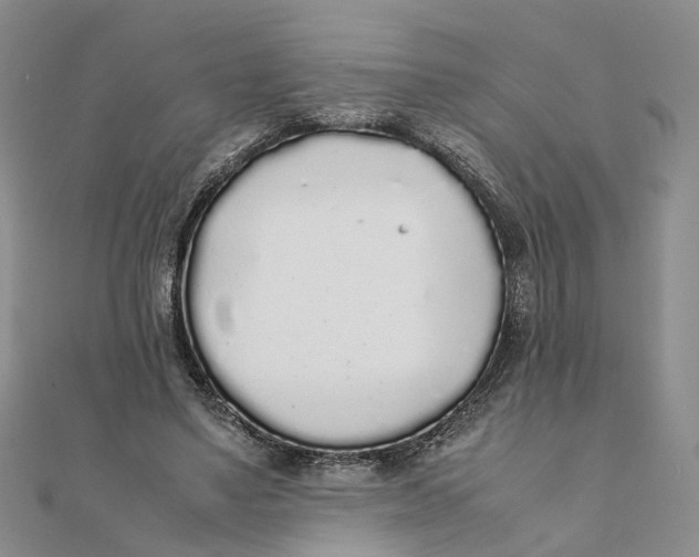 X0000111880491200908131636