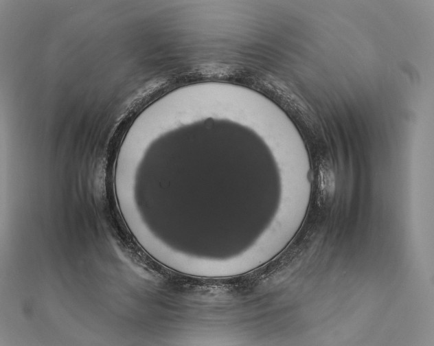 X0000111880492200908131636