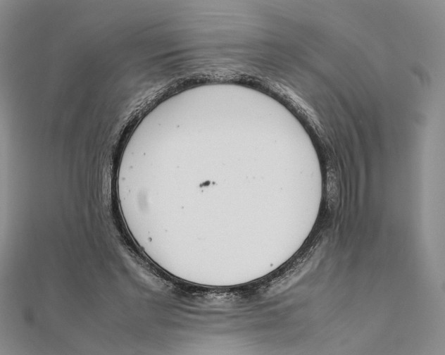 X0000111880493200908131636