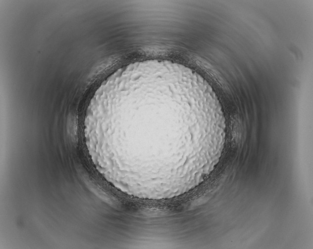 X0000111880494200908131636