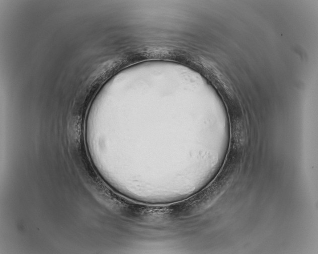 X0000111880495200908131636