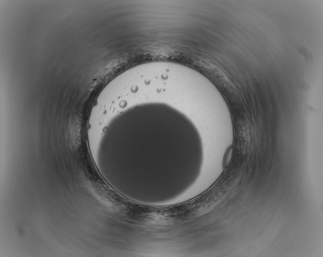 X0000111880496200908131636