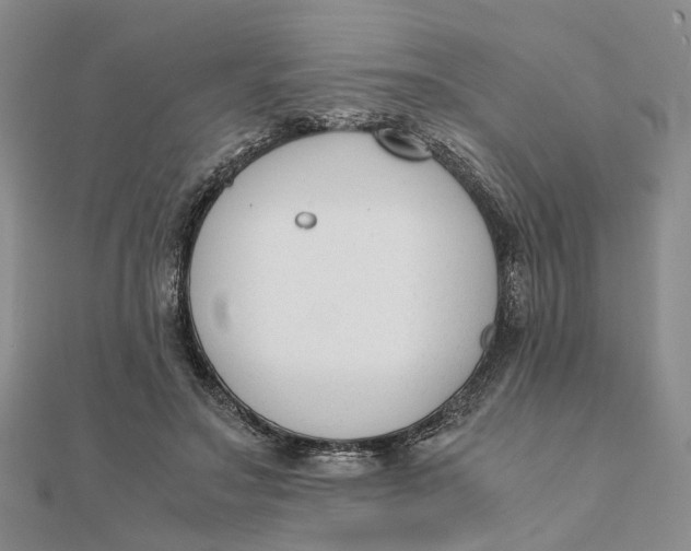 X0000111880499200908131636