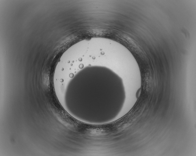 X0000111880500200908131636