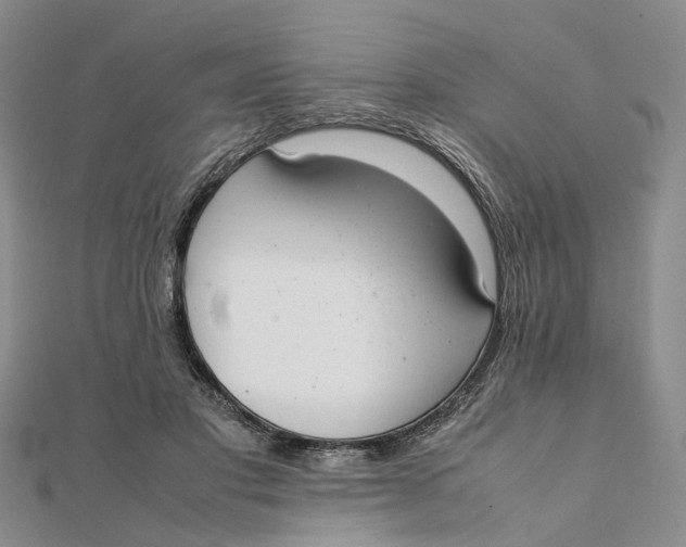 X0000111880501200908131636