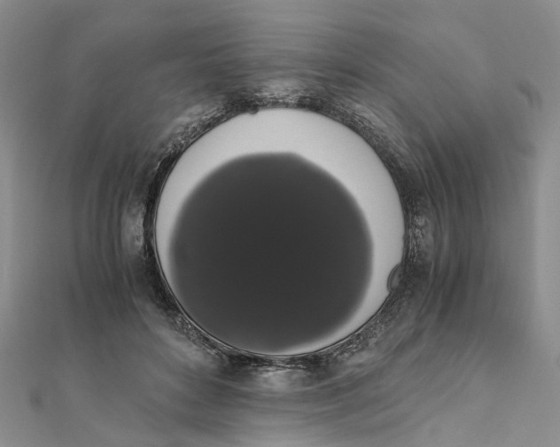 X0000111880504200908131636