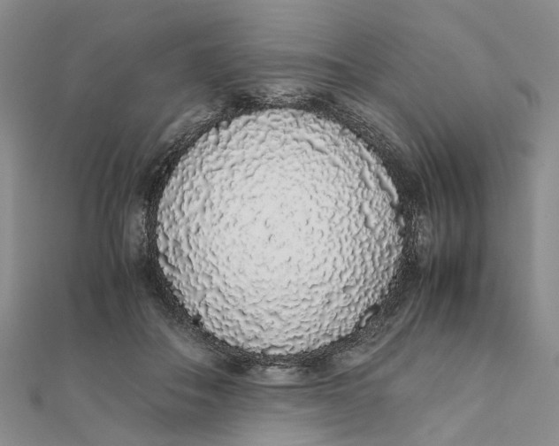 X0000111880506200908131636