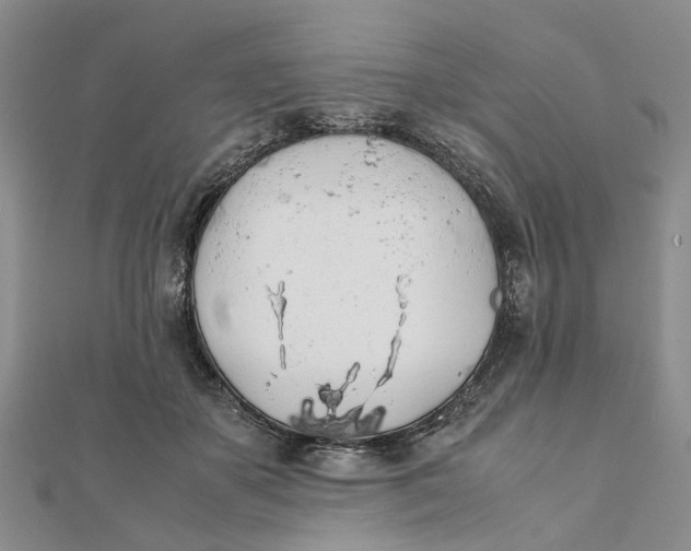 X0000111880507200908131636