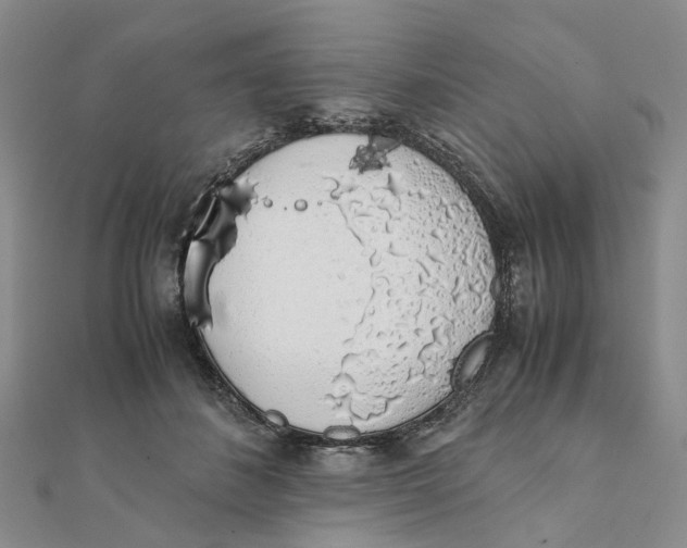 X0000111880508200908131636