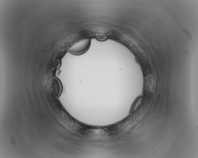 X0000111880509200908131636