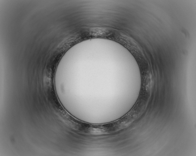 X0000111880510200908131636