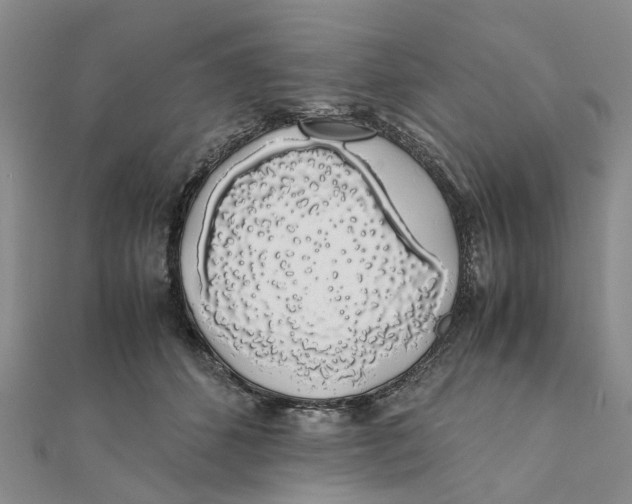 X0000111880512200908131636