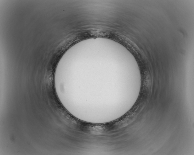 X0000111880513200908131636