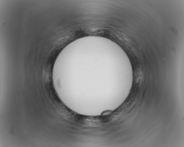 X0000111880515200908131636