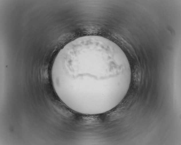 X0000111880516200908131636