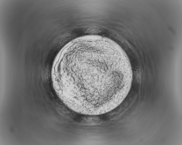 X0000111880517200908131636