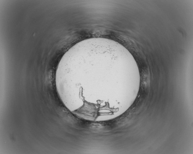 X0000111880519200908131636