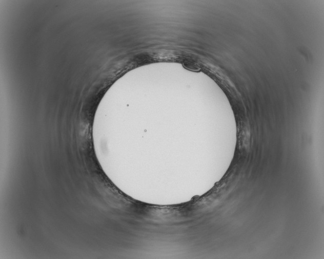 X0000111880521200908131636