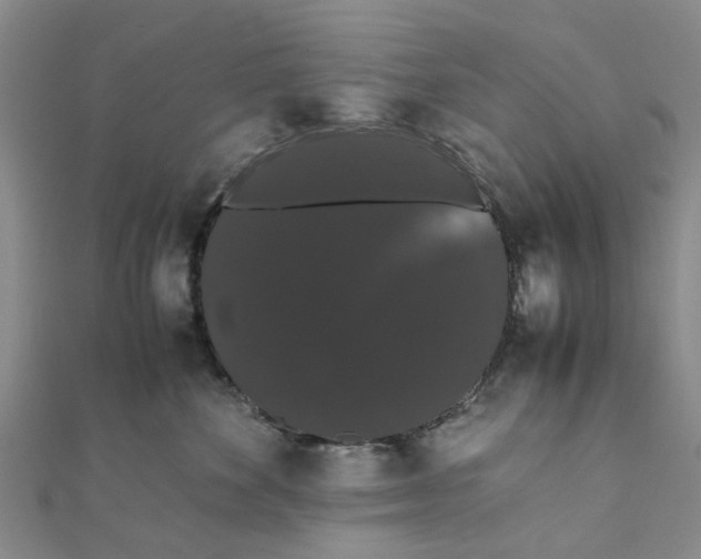 X0000111880524200908131636