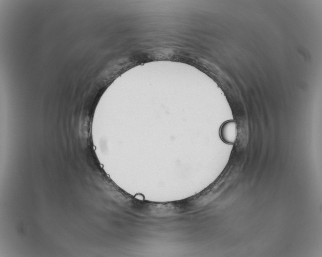 X0000111880525200908131636