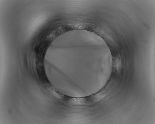 X0000111880526200908131636