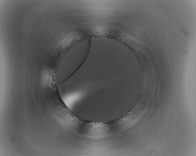 X0000111880528200908131636