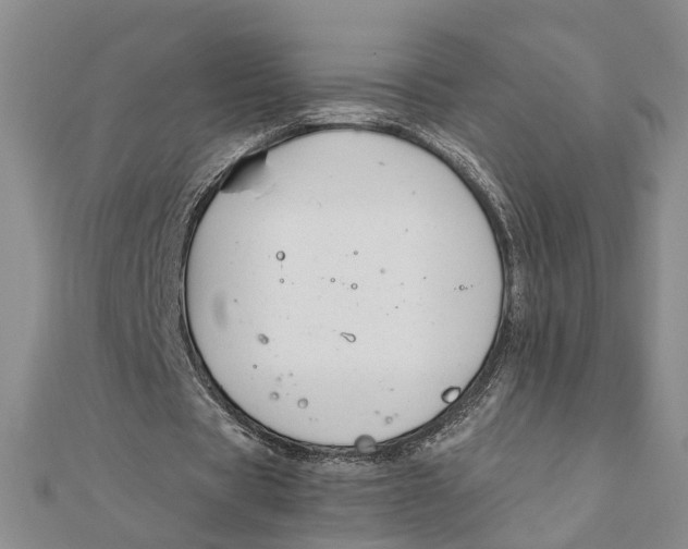 X0000111880529200908131635