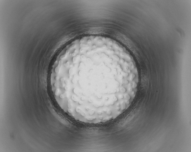 X0000111880530200908131635