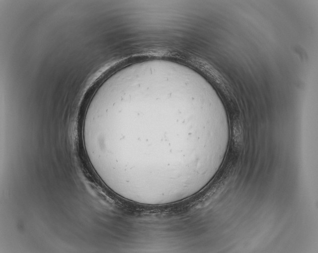 X0000111880532200908131635