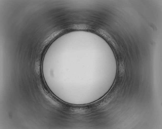 X0000111880533200908131635