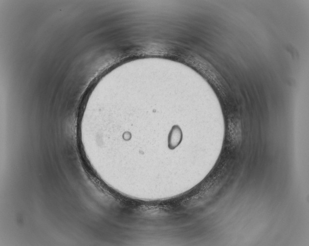 X0000111880534200908131635